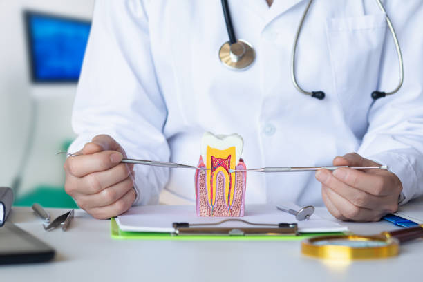 Best Emergency Dental Services for Seniors in Randleman, NC